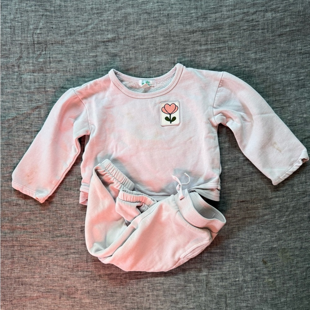 Adorable dip brand toddler girl sweatsuit, 2T